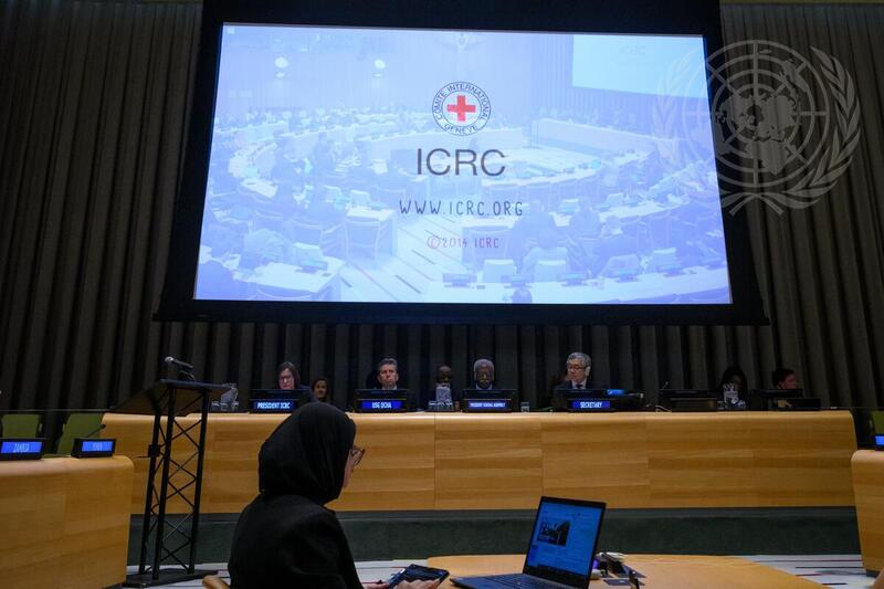 Informal Dialogue on Preserving Human Dignity in Armed Conflict: Promoting Compliance with International Humanitarian Law