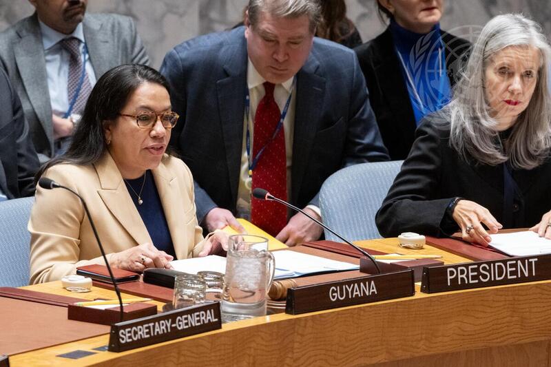 Security Council Meets on Situation in Central African Republic