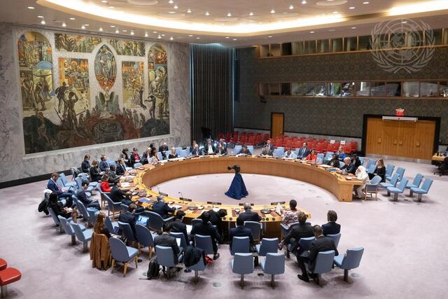 Security Council Meets on Situation in Yemen