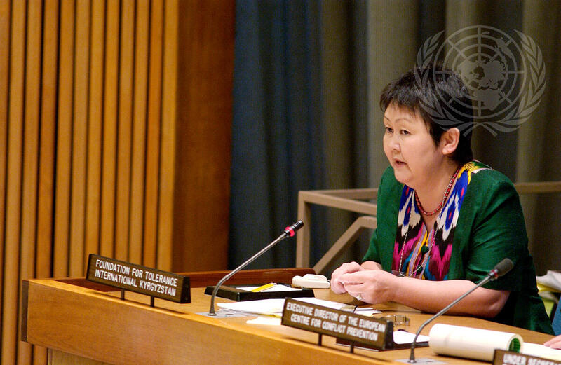 Meeting on Role of Civil Society in Conflict Prevention Calls for Coordination among Governments, Non-Governmental Organizations, United Nations Bodies