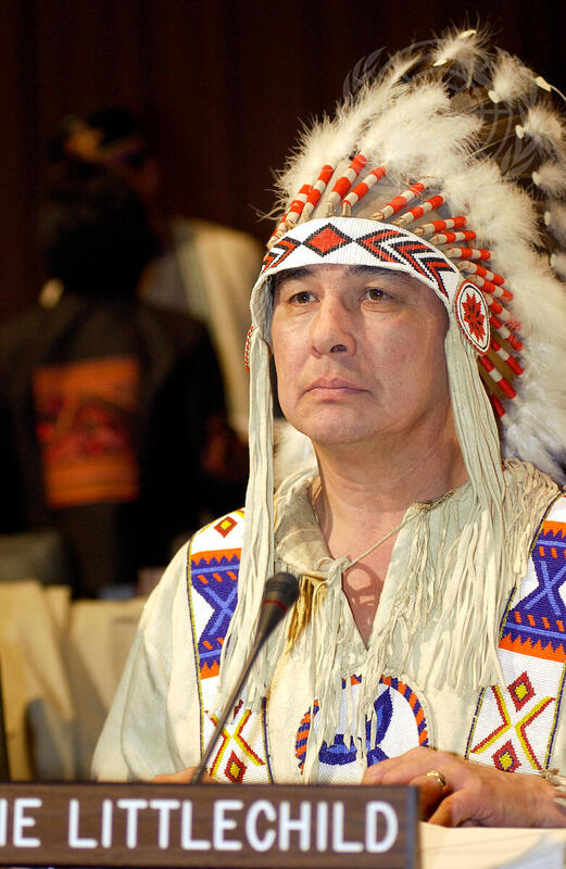 Permanent Forum on Indigenous Issues Opens Second Session