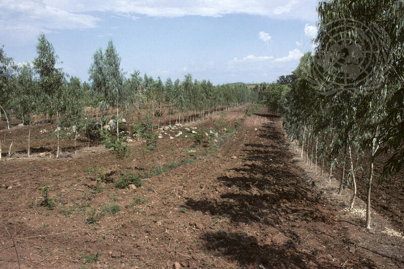 UNDP Projects in Thailand