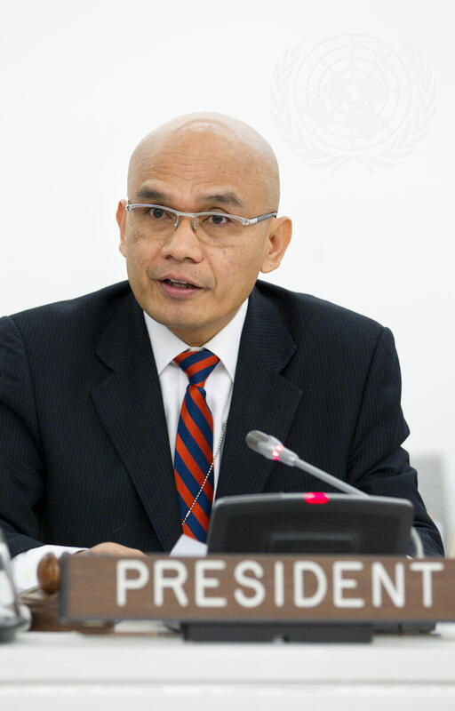 ECOSOC Elects President and Vice-Presidents for 2013 Session