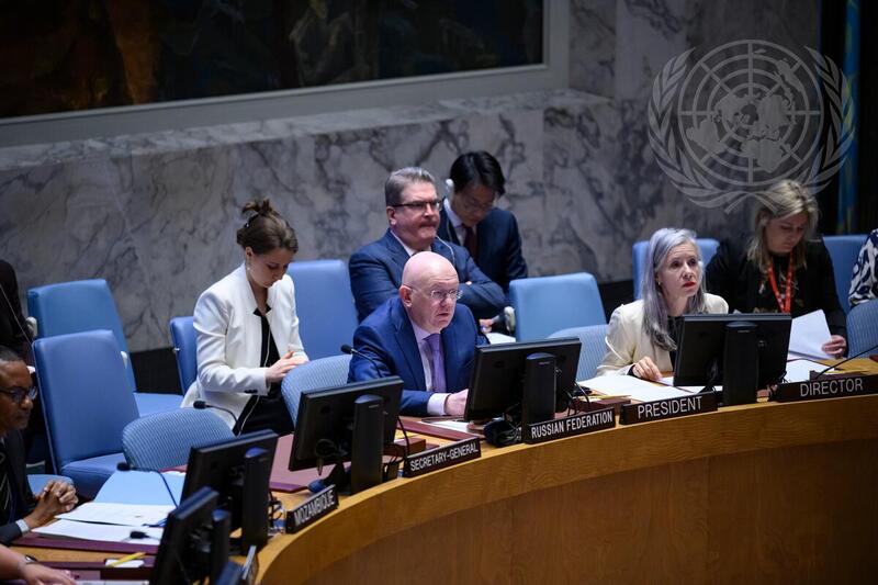 Security Council Meets on United Nations Verification Mission in Colombia