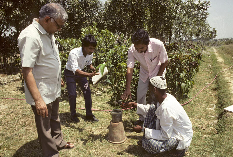 United Nations Development Programme Helps Agricultural Research Projects in Bangladesh