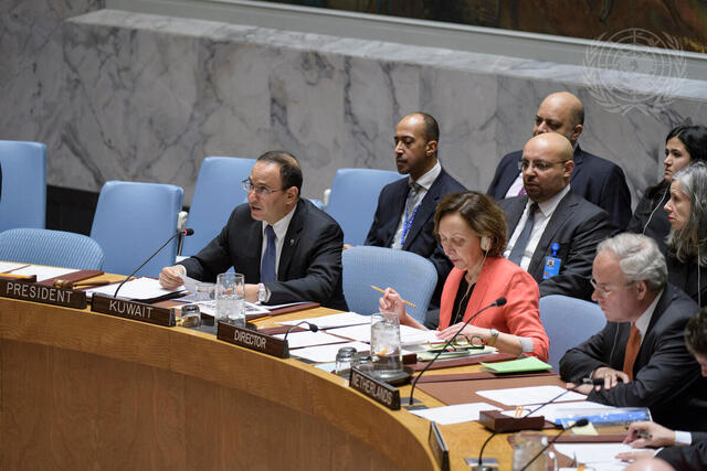 Security Council Considers Own Working Methods