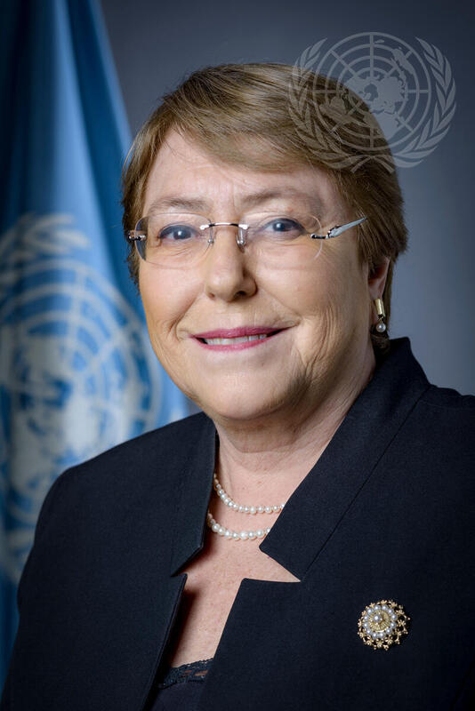 United Nations High Commissioner for Human Rights