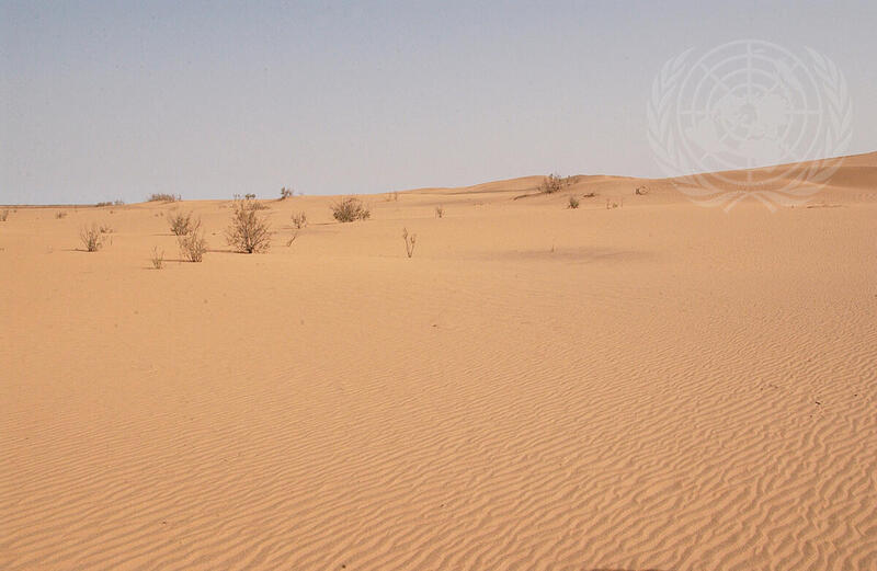 Western Sahara