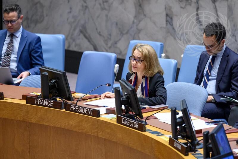 Security Council Meets on UN Verification Mission in Colombia