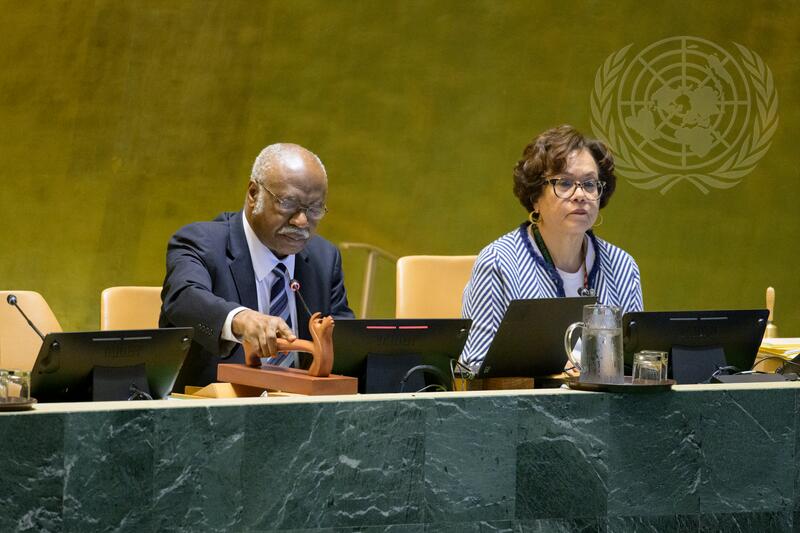 General Assembly Holds Election of Members of Economic and Social Council