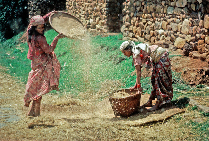 Farming for Development
