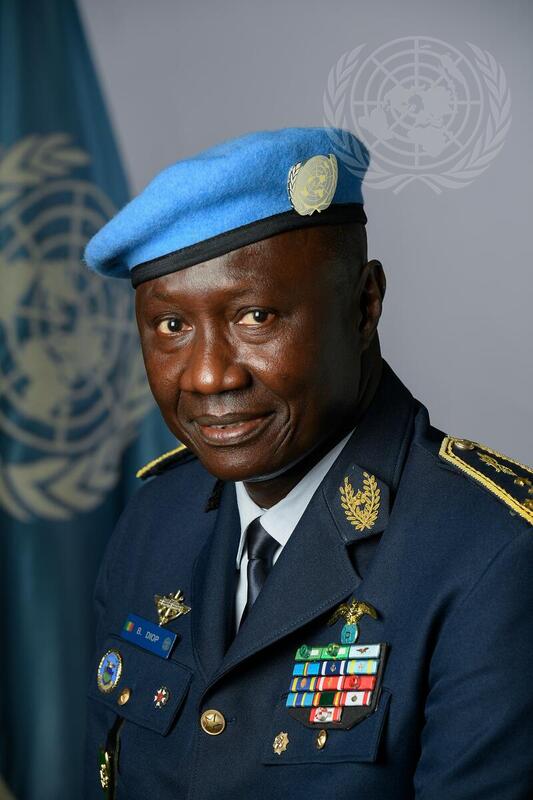 Portrait of Military Adviser for Peace Operations