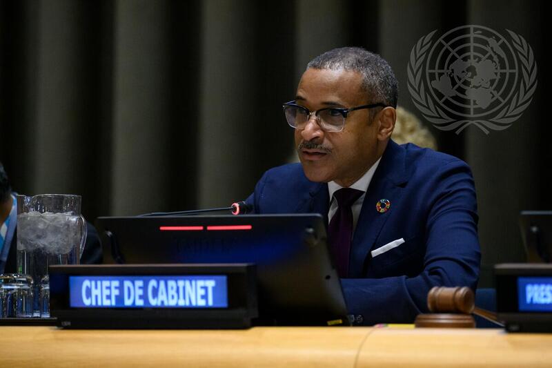 General Assembly Hears Briefing by Secretariat on Liquidity Crisis and Possible Impacts on Organization