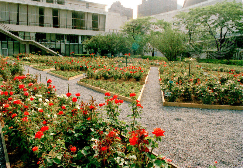 United Nations Rose Garden
