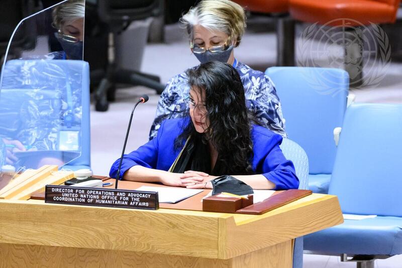 Security Council Meets on Sudan and South Sudan