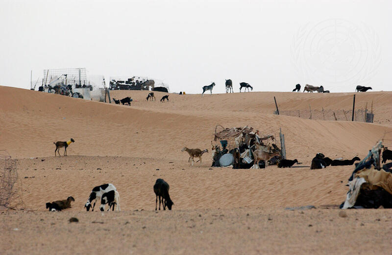 Western Sahara
