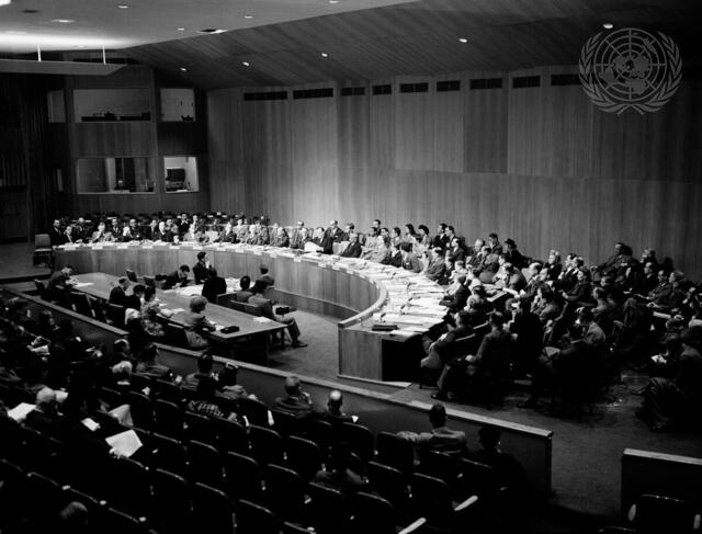 Economic and Social Council of the United Nations