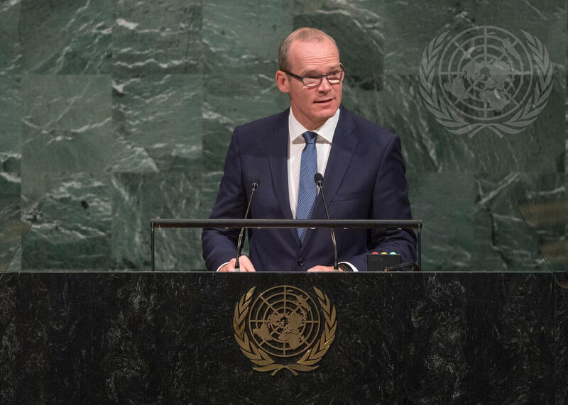 Foreign Minister of Ireland Addresses General Assembly