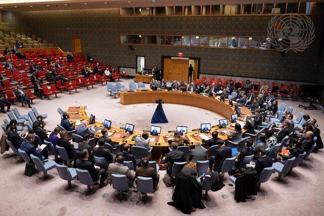 Security Council Meets on Maintenance of International Peace and Security