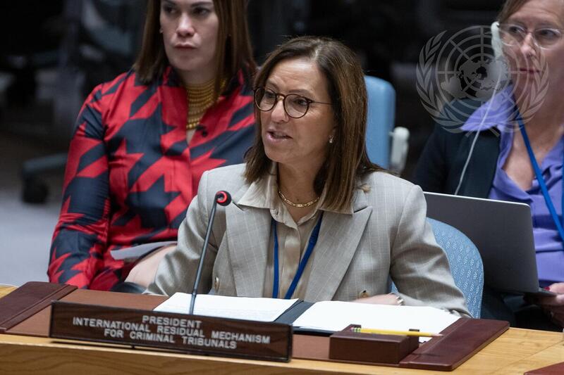 Security Council Meets on International Residual Mechanism for Criminal Tribunals