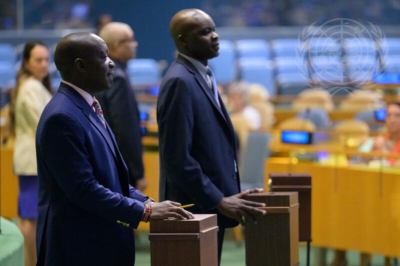 General Assembly Holds Election of Members of Economic and Social Council