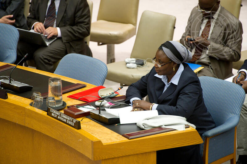 Security Council Considers Situation in Mali