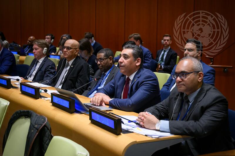 General Assembly Holds Preparatory Meeting before International Conference for Peaceful Settlement of Question of Palestine and Implementation of Two-State Solution