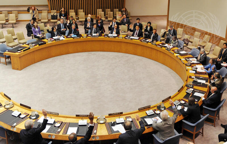 Security Council Extends UNMIS Mandate by One Year