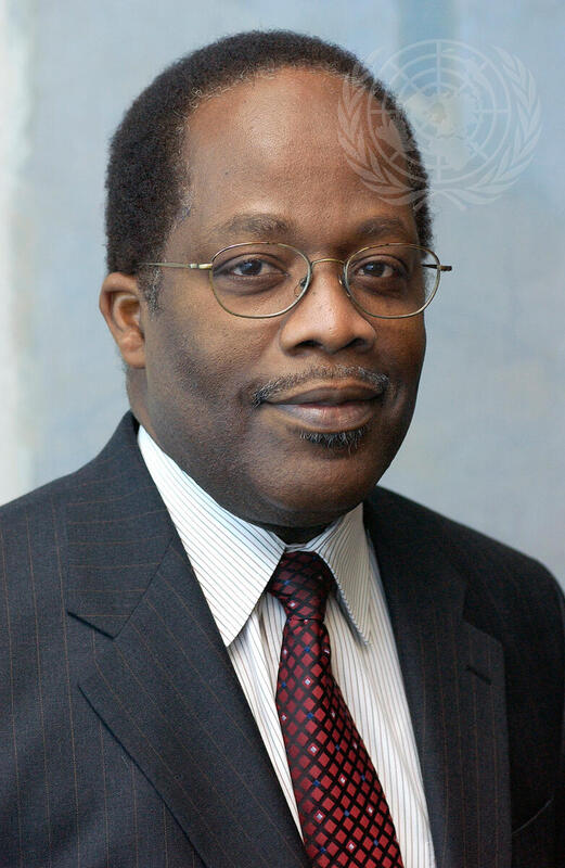 Portrait of New Permanent Representative of Barbados