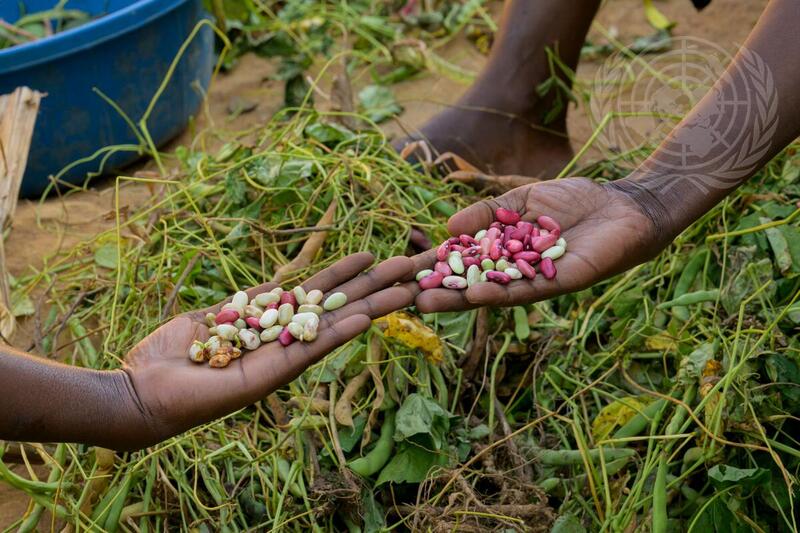 Observance of 30 Years Since Genocide in Rwanda