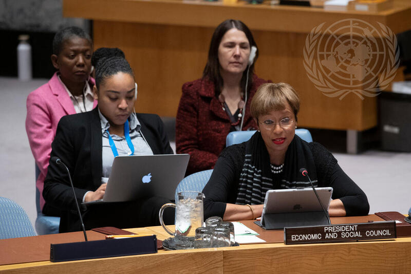 Security Council Considers Maintenance of International Peace and Security