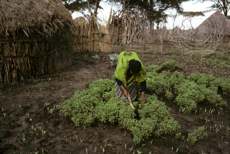 Training in Nutrition and Food Production for Ethiopian Women