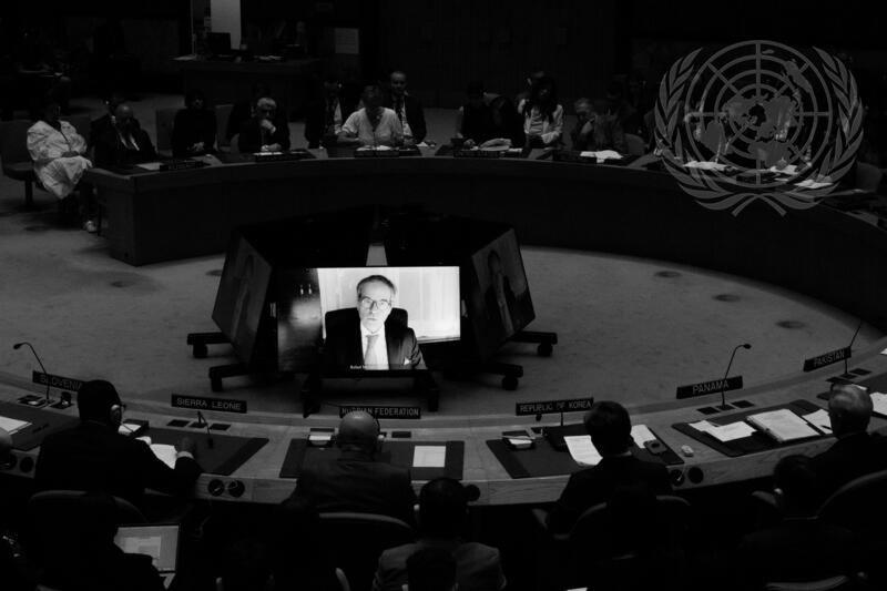 Security Council Meets on Maintenance of International Peace and Security