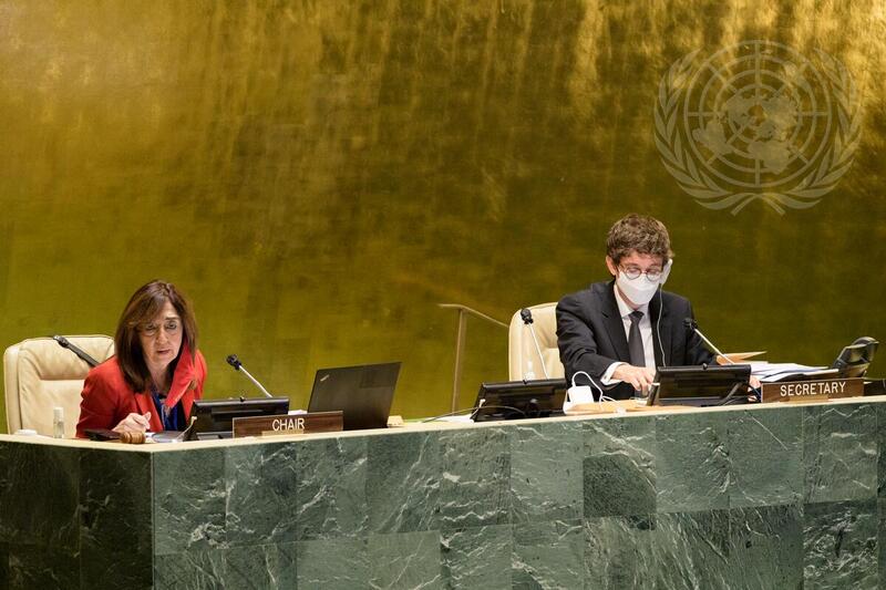 Open-ended Working Group on Ageing