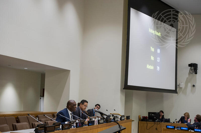 General Assembly Adopts Text Recognizing Right of Georgian Refugees