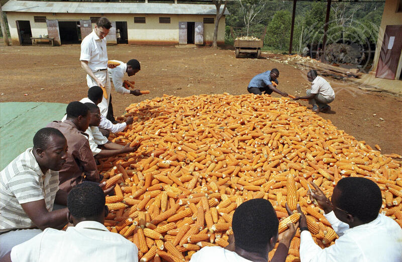 Agricultural Training in Cameroon