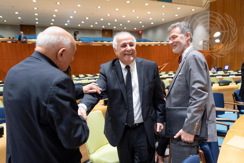 General Assembly Meets on Committee on Exercise of Inalienable Rights of  Palestinian People