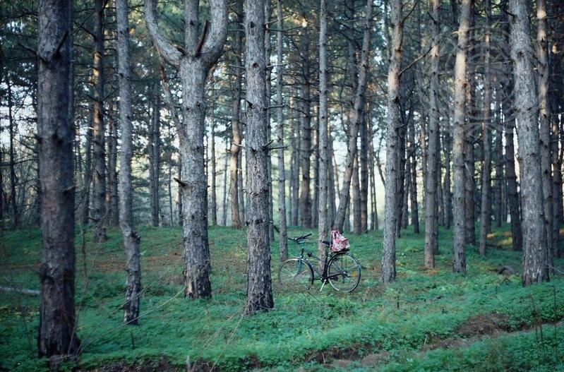 UN Forum on Forests Photo Competition Winner: "My Favorite Place"