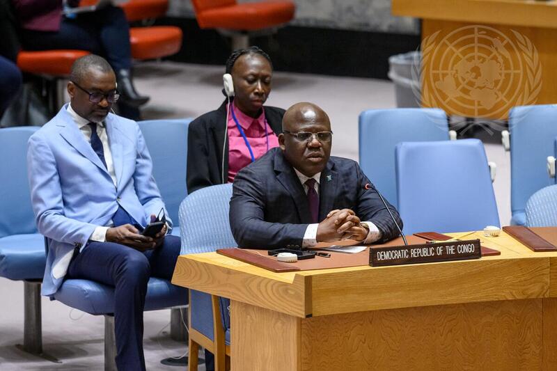 Security Council Adopts Resolution on Withdrawal of MONUSCO