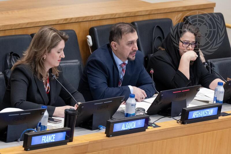 From Afghanistan to New York: Afghan Women Calling for Action