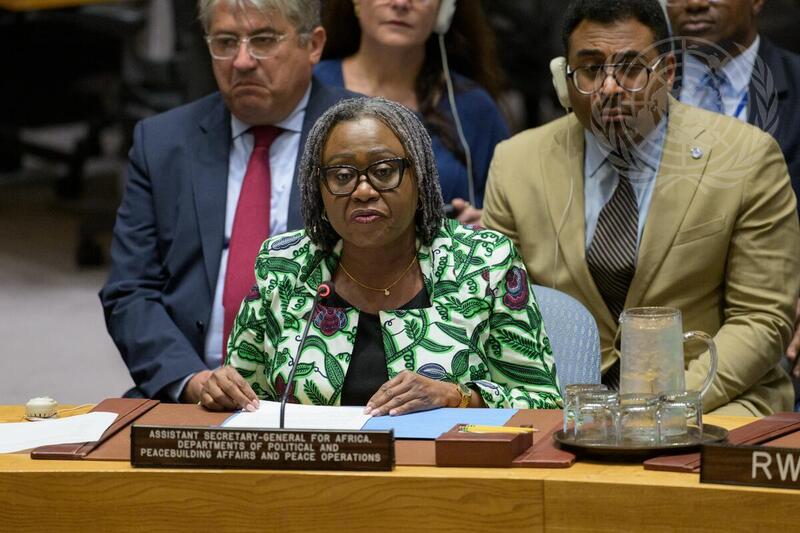 Security Council Meets on Situation Concerning Democratic Republic of Congo