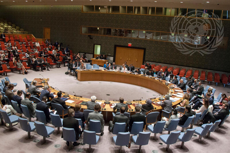 Security Council Discusses Cooperation Between UN and Regional Organizations