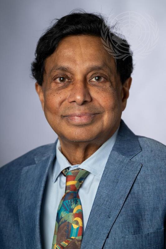 Portrait of Permanent Observer of University for Peace
