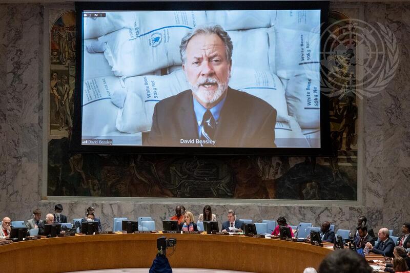 Security Council Meets on Protection of Civilians in Armed Conflict ...