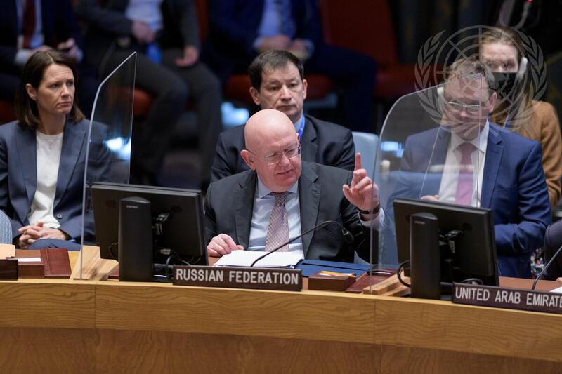 Security Council Meets on Situation in Ukraine