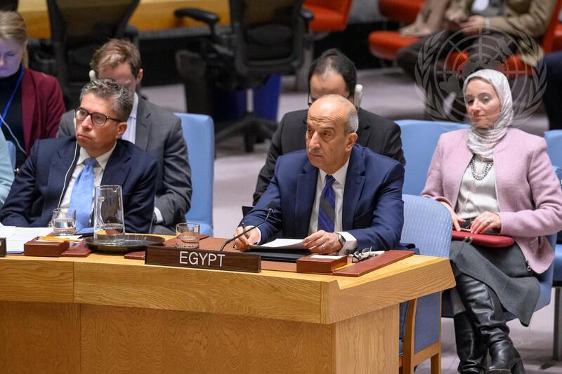 Security Council Meets on Situation in Syria