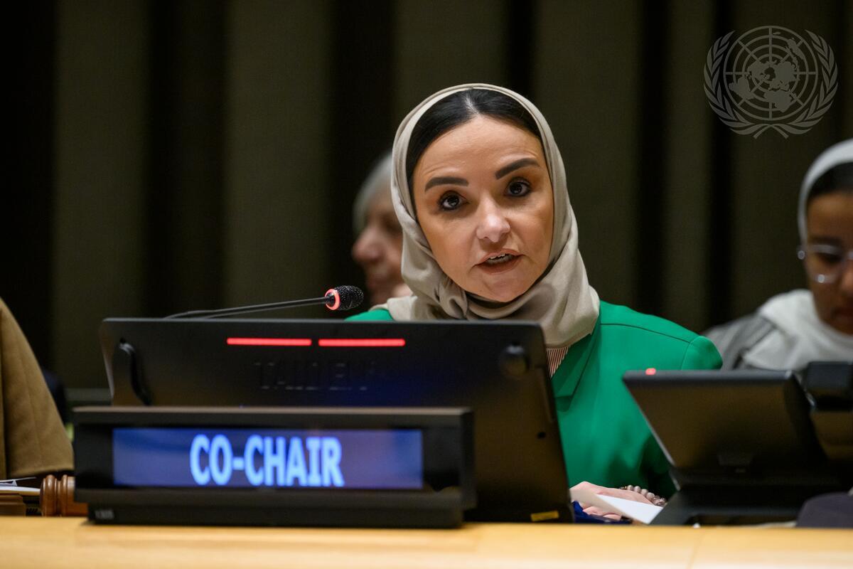 General Assembly Holds Preparatory Meeting before International Conference for Peaceful Settlement of Question of Palestine and Implementation of Two-State Solution