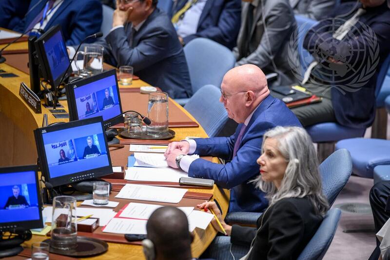 Security Council Meets on Situation in Middle East, Including Palestinian Question