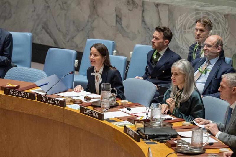 Security Council Meets on Maintenance of Peace and Security of Ukraine