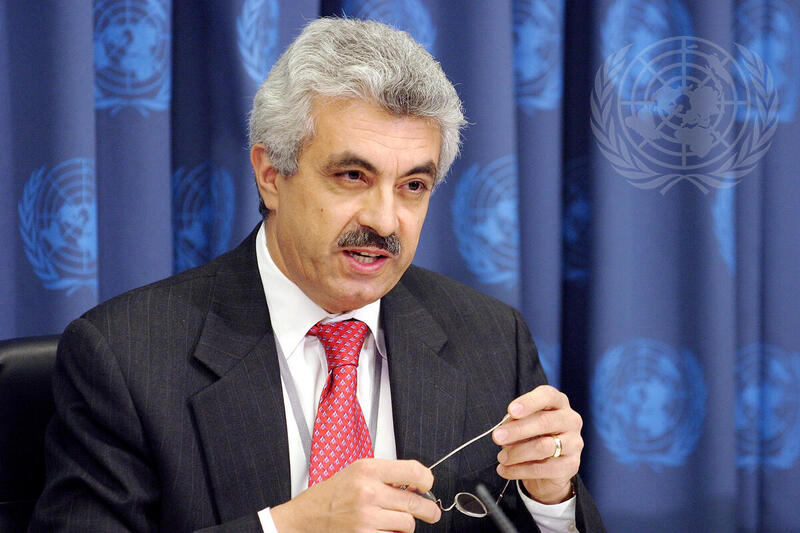 Press Conference on UN World Public Sector Report 2003: E-Government at the Crossroads